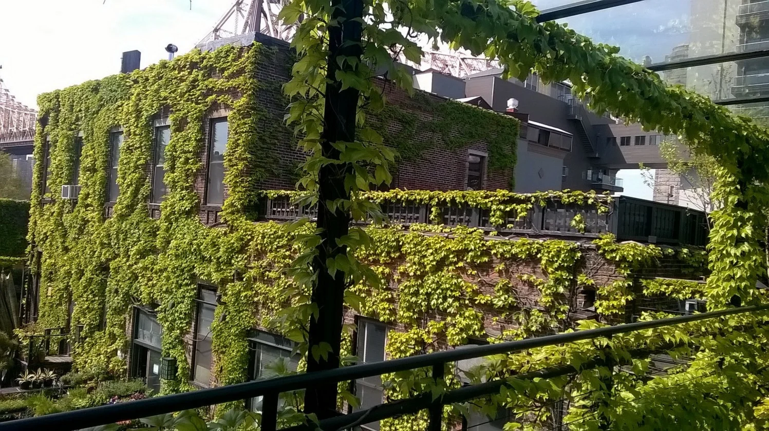 Unique Event Spaces for Your Dream Wedding in Queens