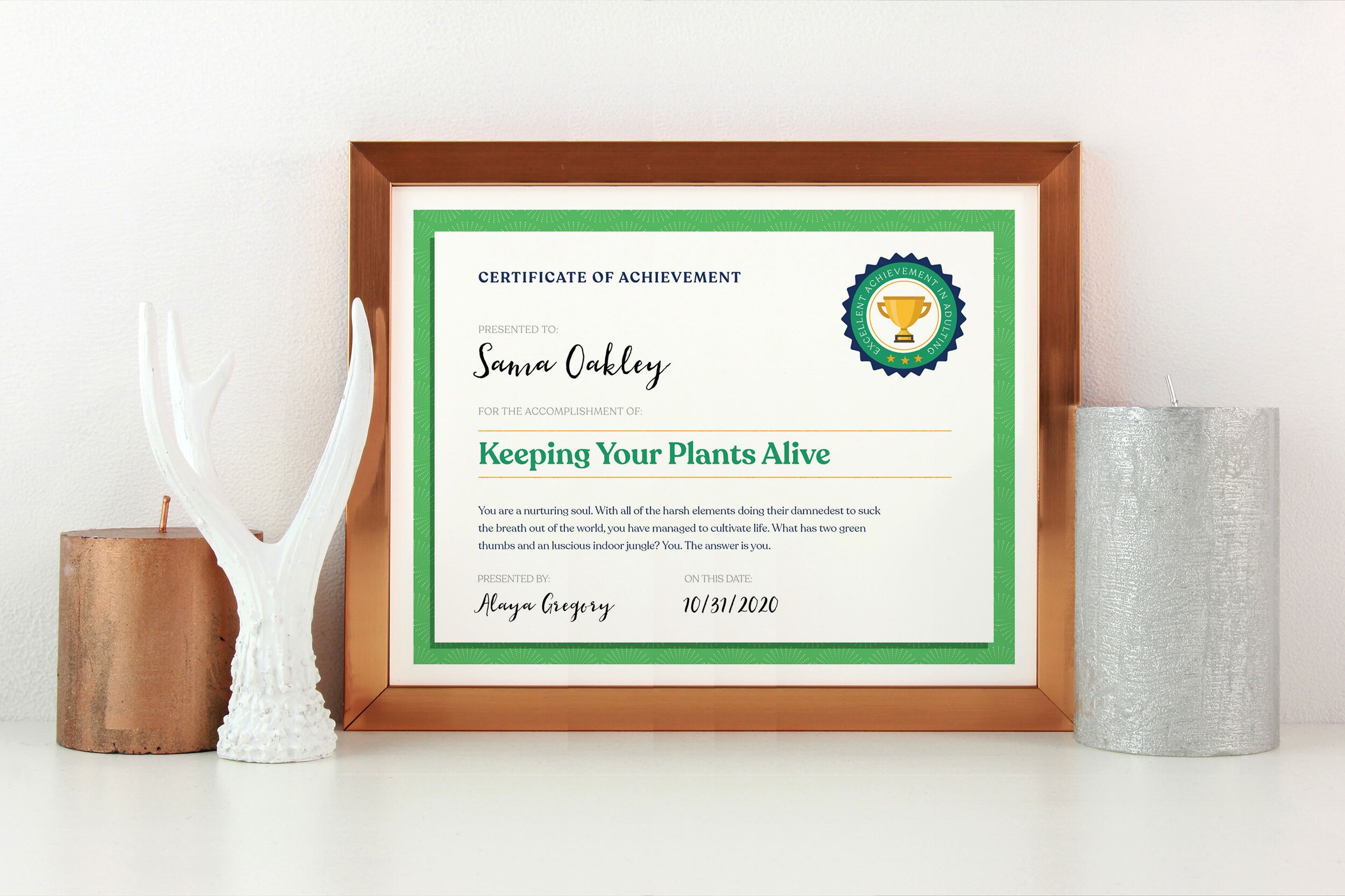 plants4.jpg