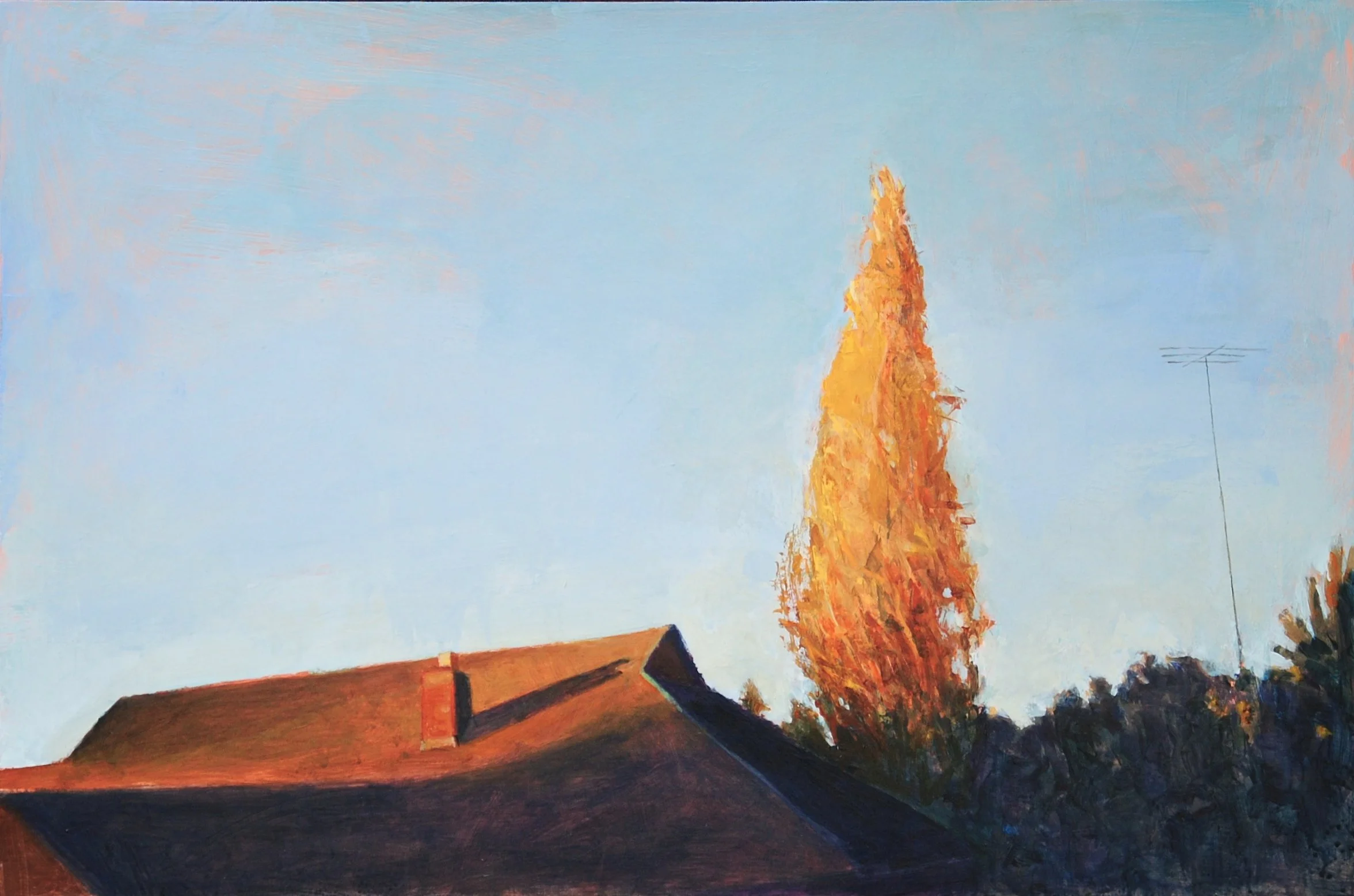 Flame Tree    20 x 30