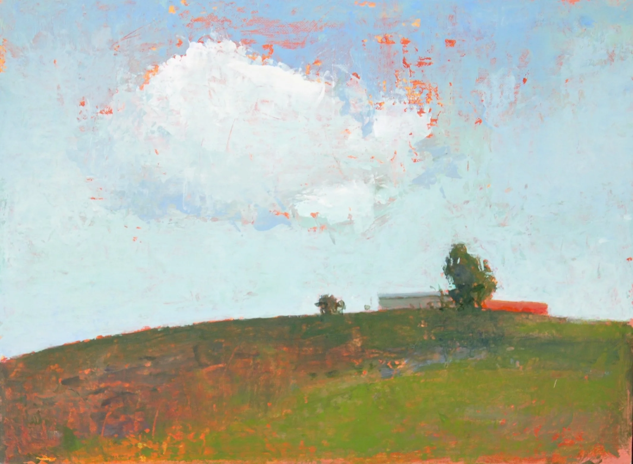 Moby Cloud     12 x 16