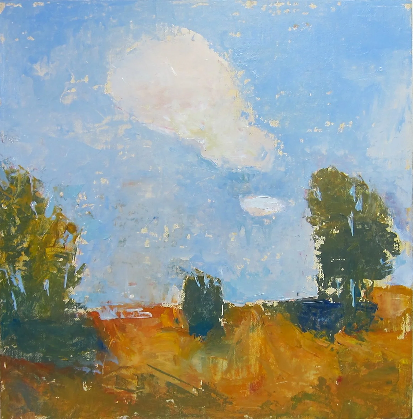 Near Dundee    15   x   15