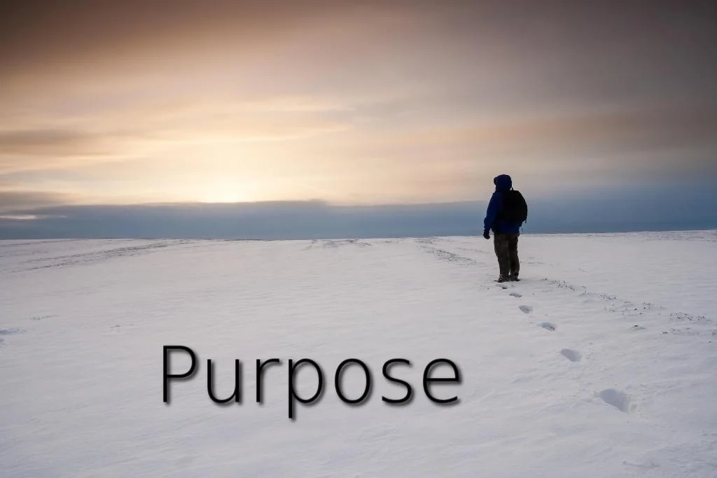 Thinking About Purpose