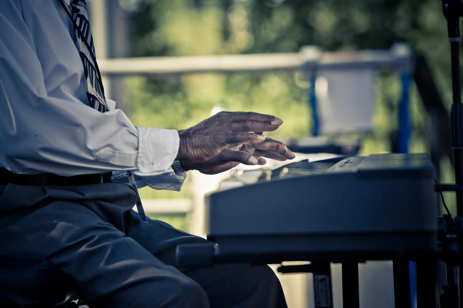 2011bluesfest3.jpg
