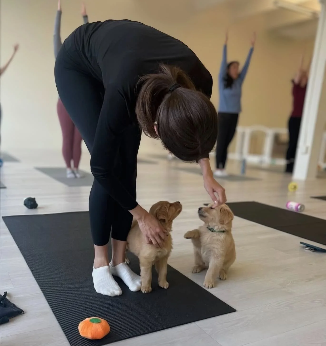 Puppy cuddles and a yoga flow at the office is the perfect way to pause, smile, and recharge. 🐶🧘&zwj;♀️

With National Puppy Day coming up, we&rsquo;re celebrating one of our favorite ways to bring joy into the workplace. Puppy Yoga combines gentle