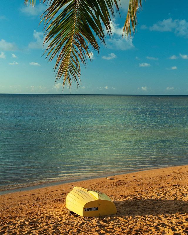 Suns back out! Winter in Hawaii- we so spoiledπππΏ#beach #kauai #hawaii #sunset