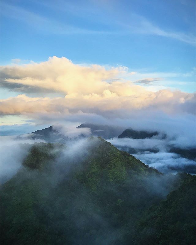 Although summer in Hawaii yields some beautiful sunsets the mists of autumn are so much more dramatic! 🌥⛅️☁️🙌🏽#kauai #hawaii #teatowels #buylocal #hawaiilife #misty #mountains #paradise #islandlife