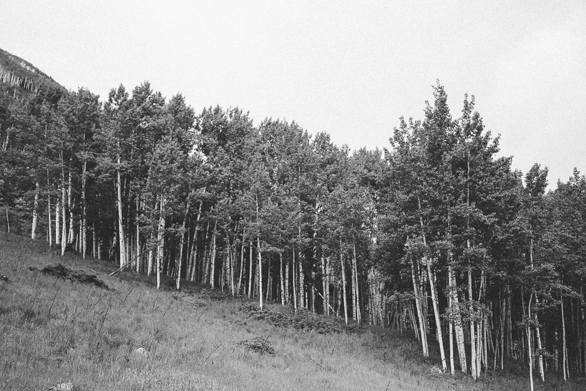 Aspen_Blog-54.jpg