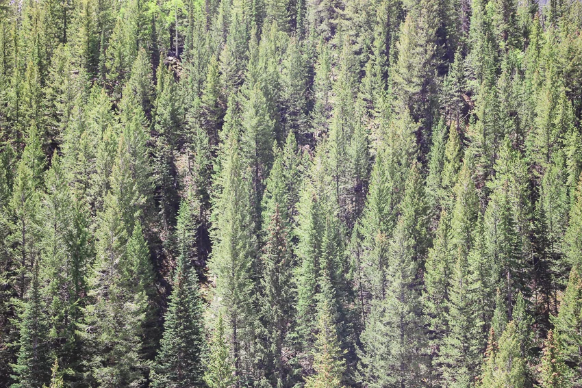 Aspen_Blog-84.jpg