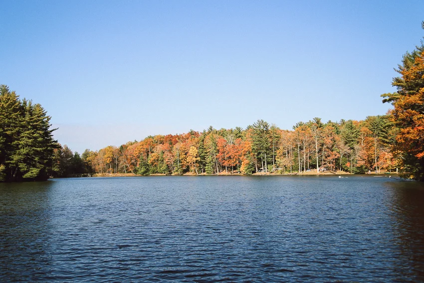North Georgia-24.jpg