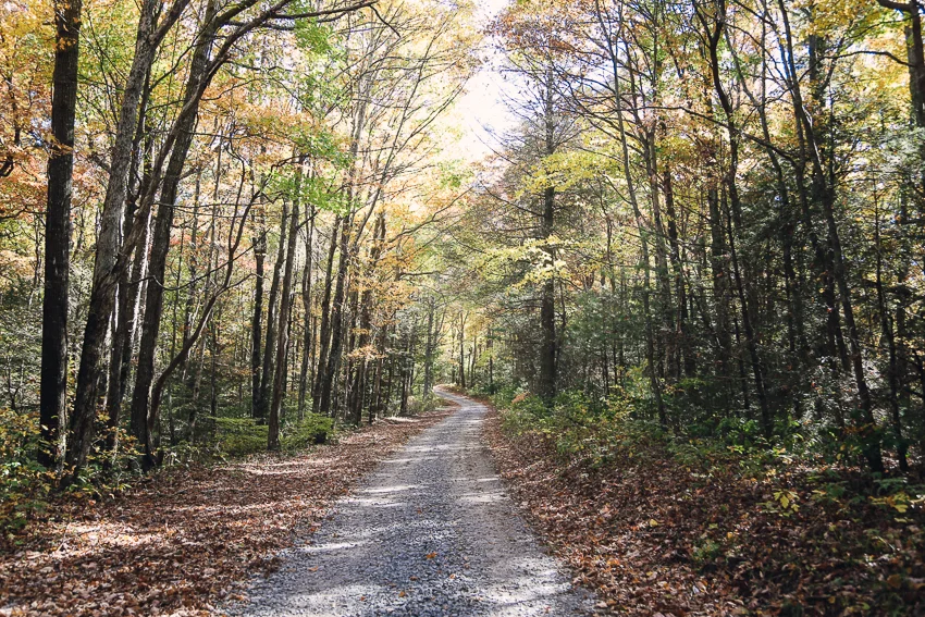 North Georgia-9.jpg