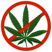 anti marijuana.jpg