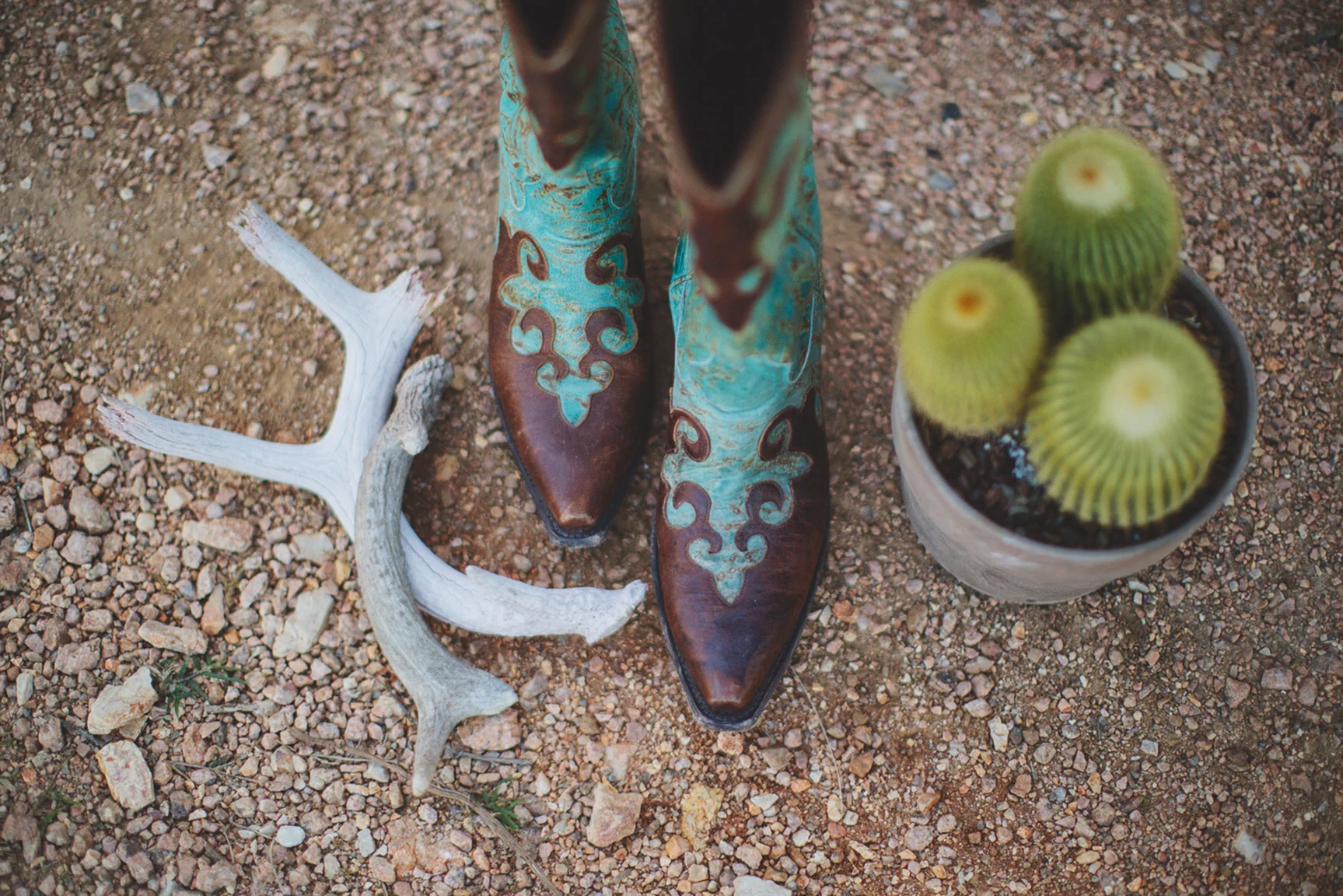 PhotobyBetsy-ThreePointsRanch001.jpg
