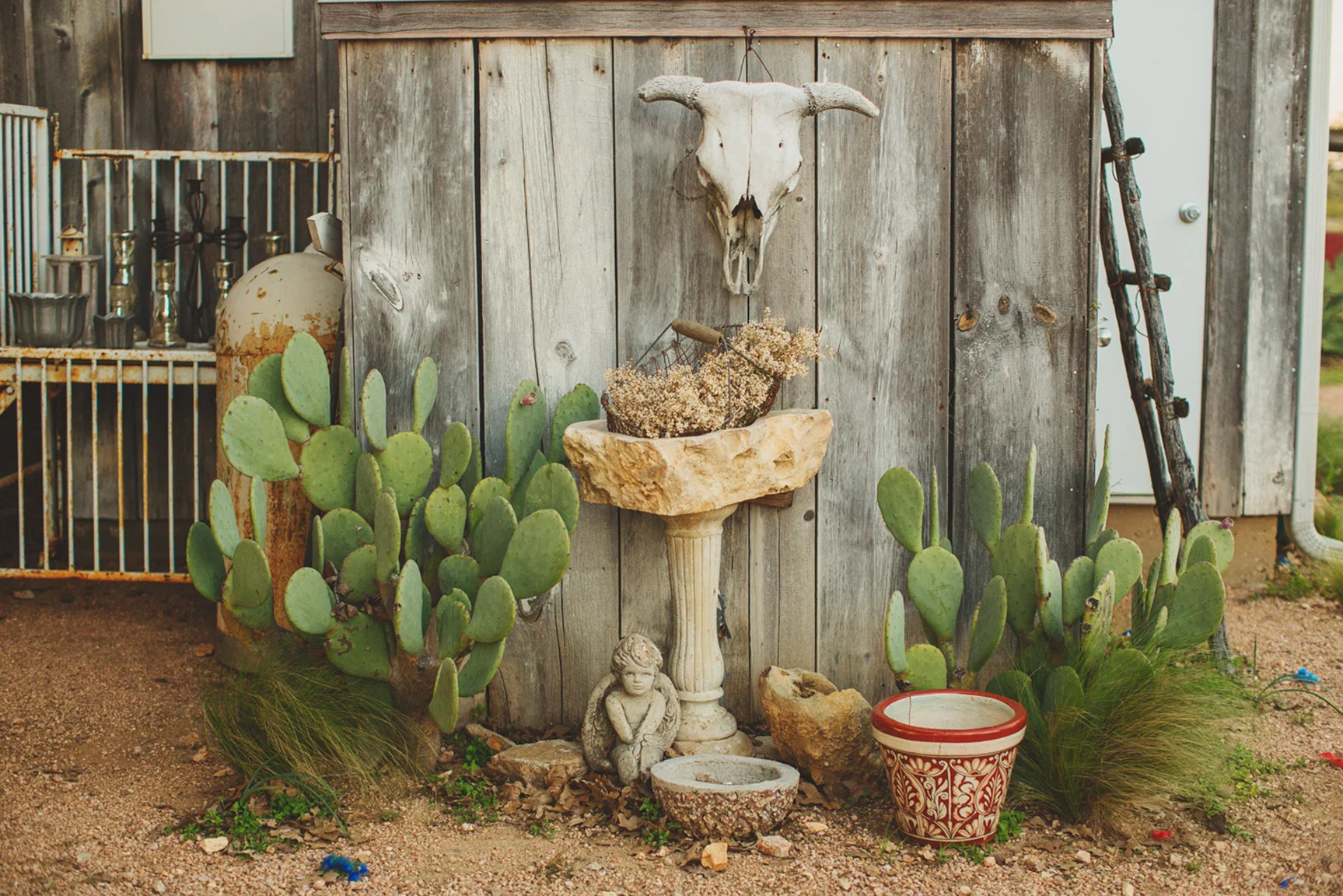 PhotobyBetsy-ThreePointsRanch036.jpg