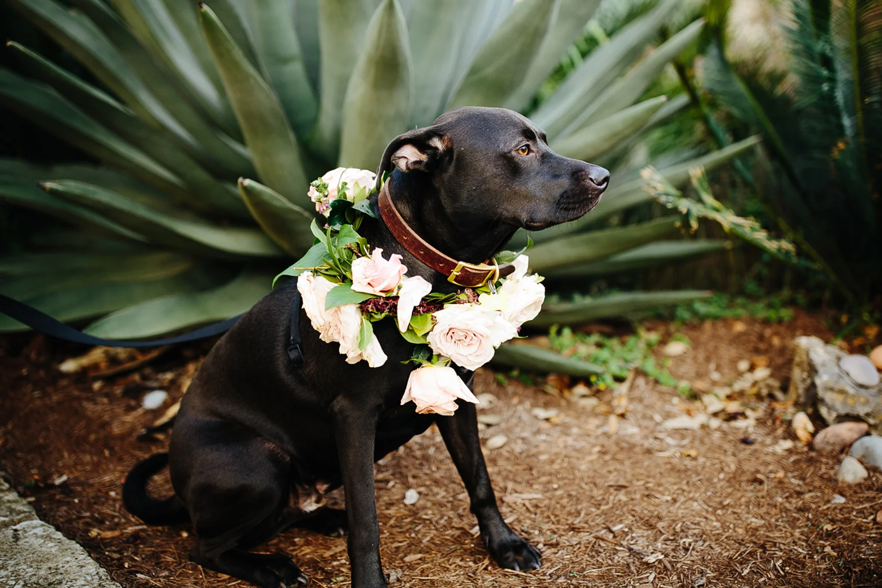 austin_WeddingPhotographer_020.jpg