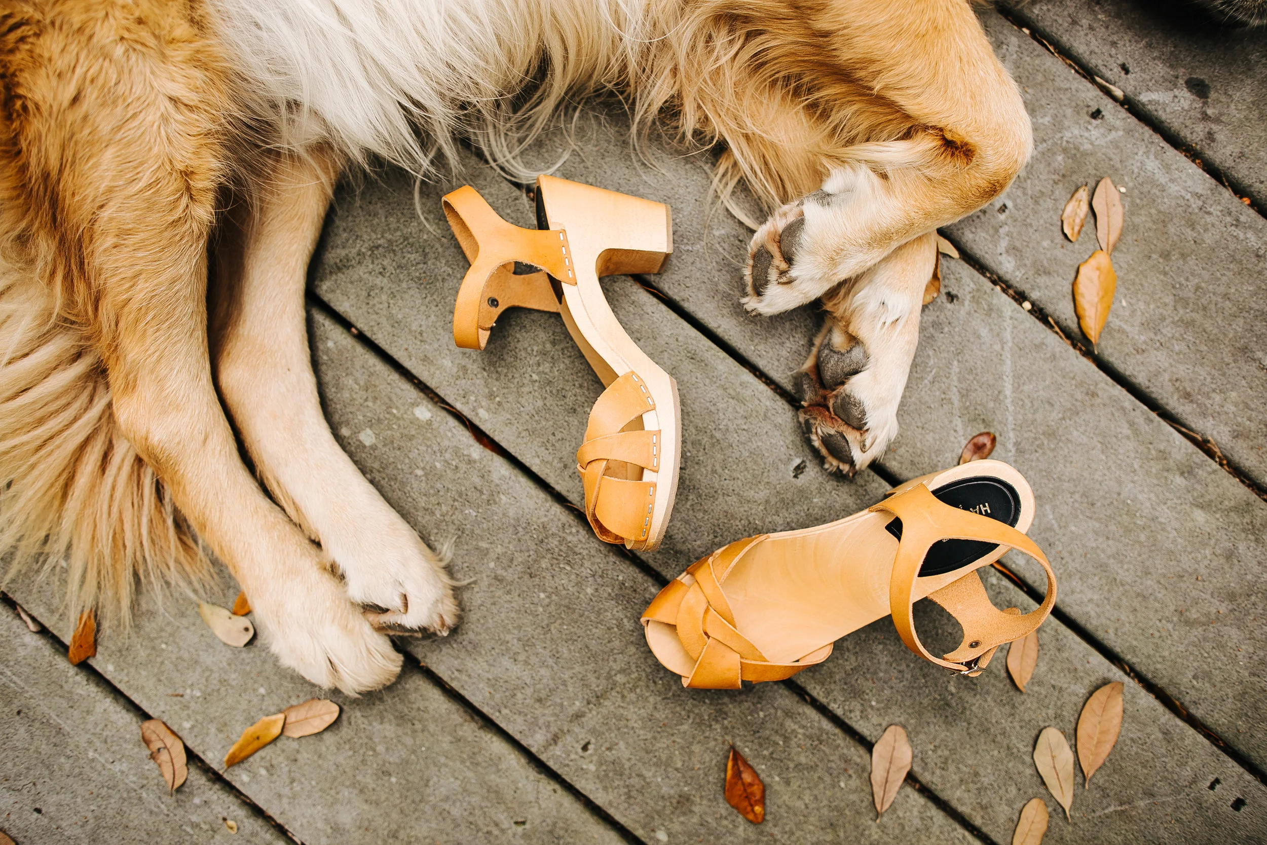 shoes-360.jpg