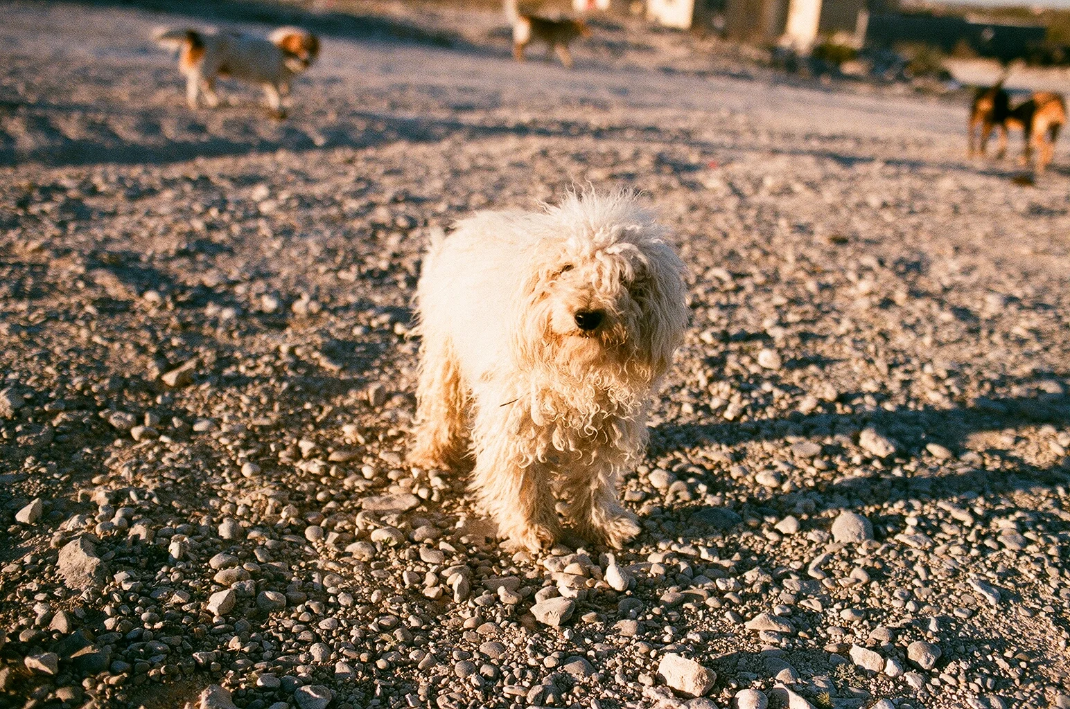 mexico025.jpg