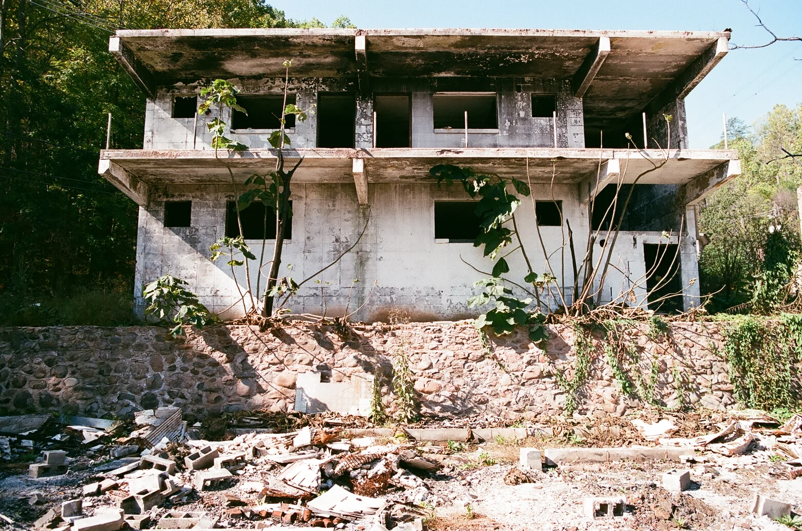 001093690017.jpg