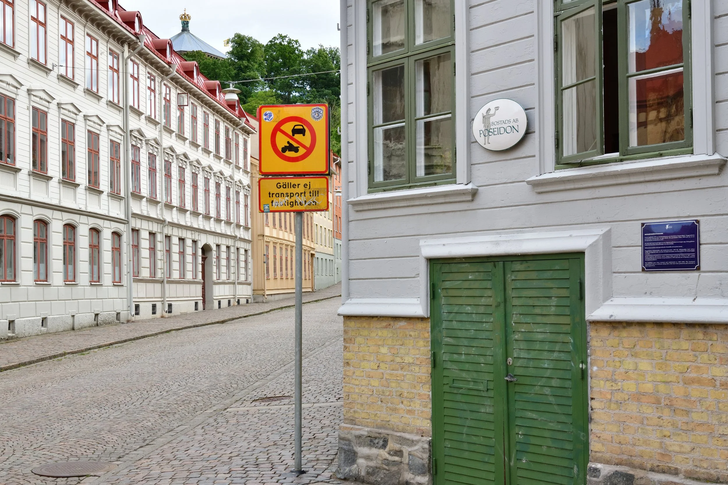 DLJ_5833.JPG