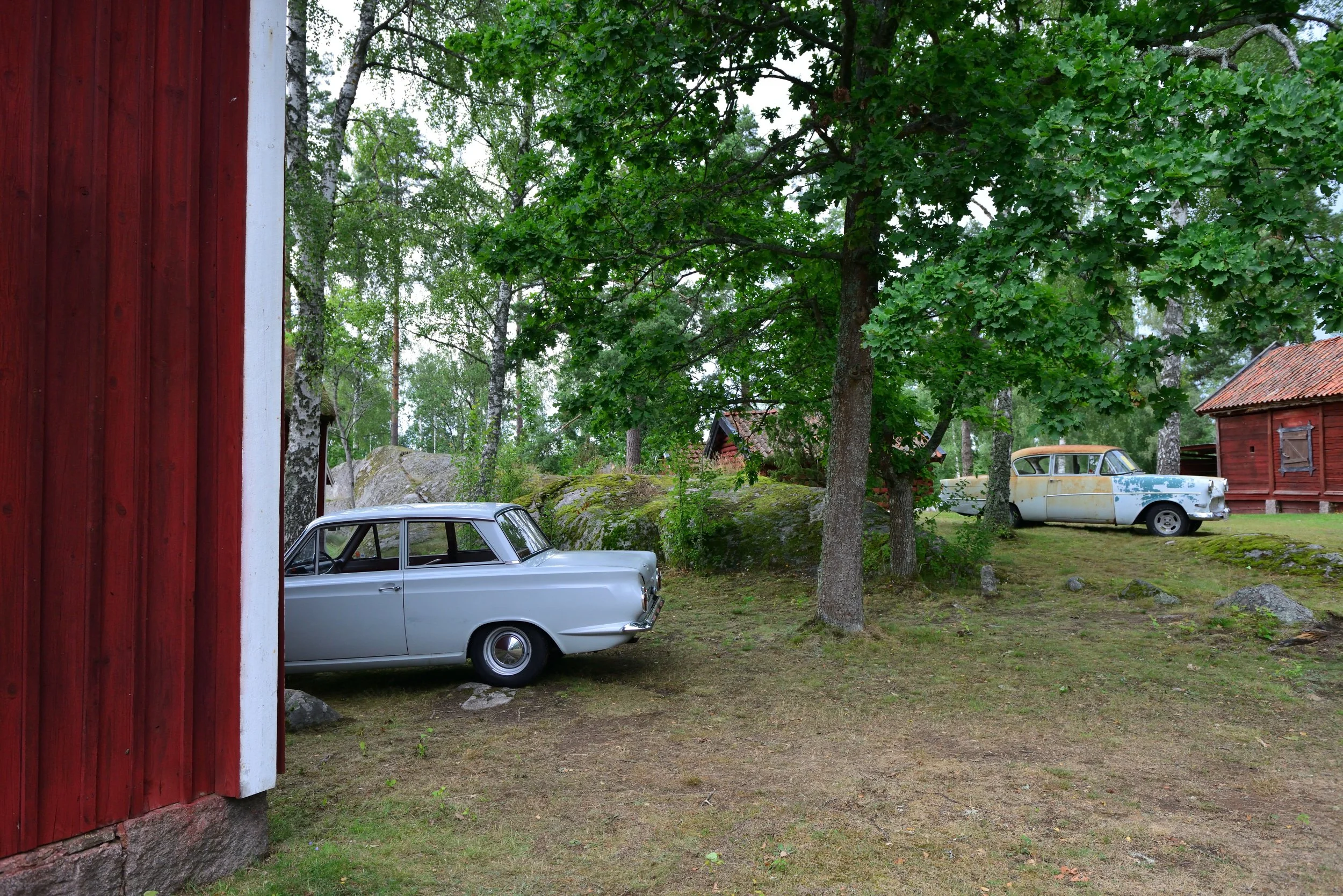 DLJ_5038.JPG