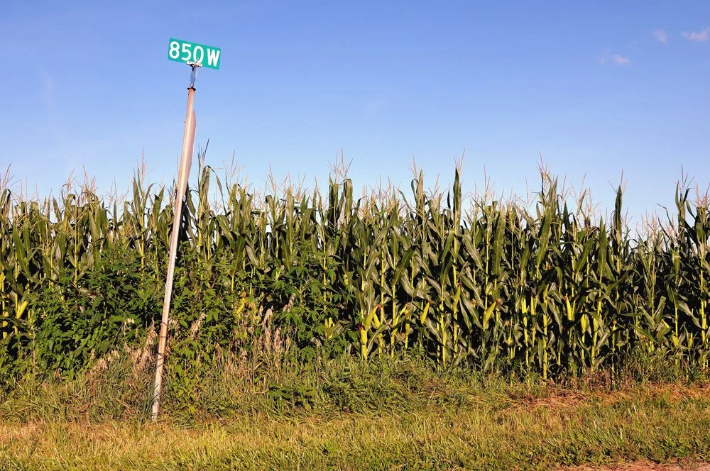 IN04 (3)_001.jpg