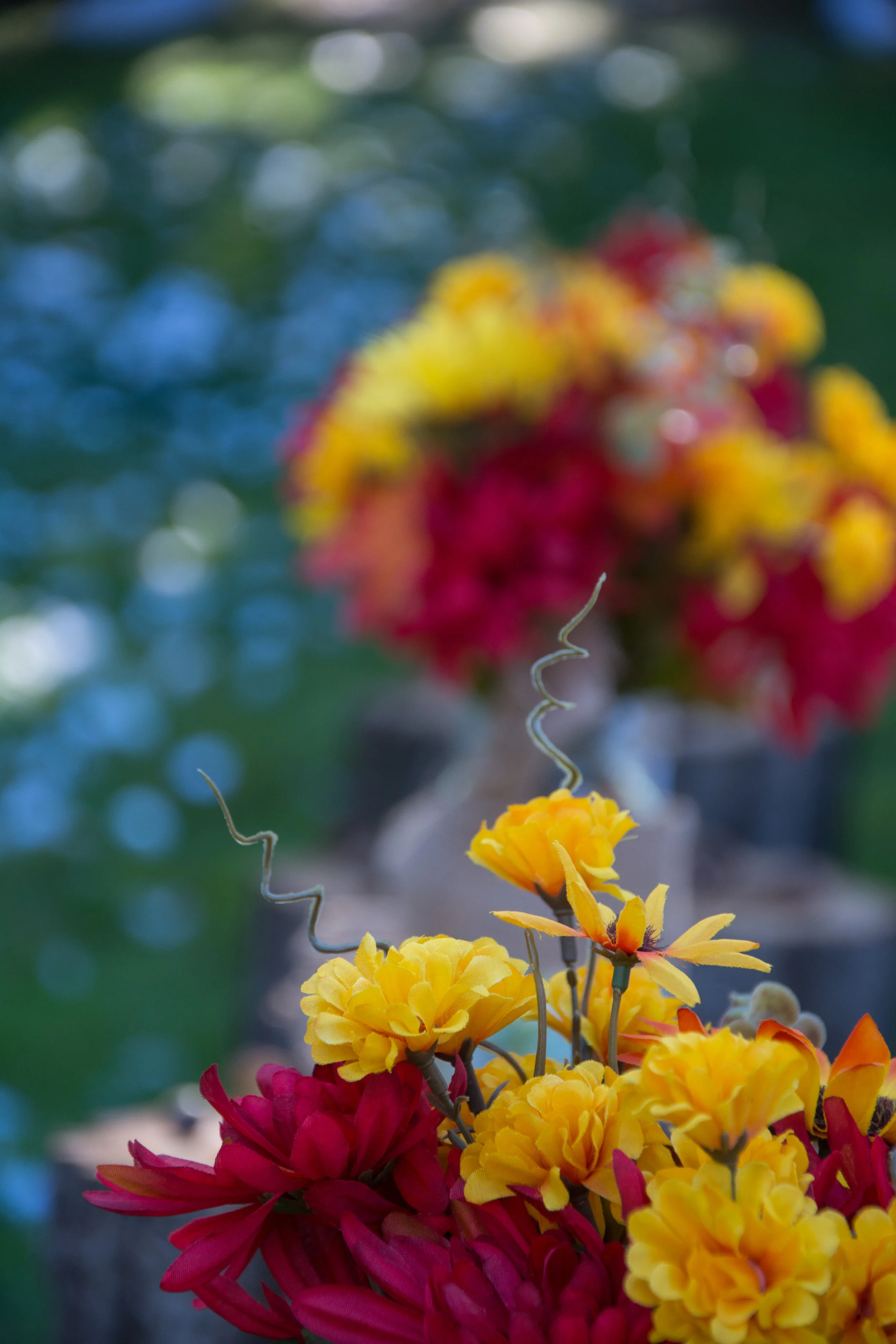 Jennifer Birney Photography-2 2.jpg