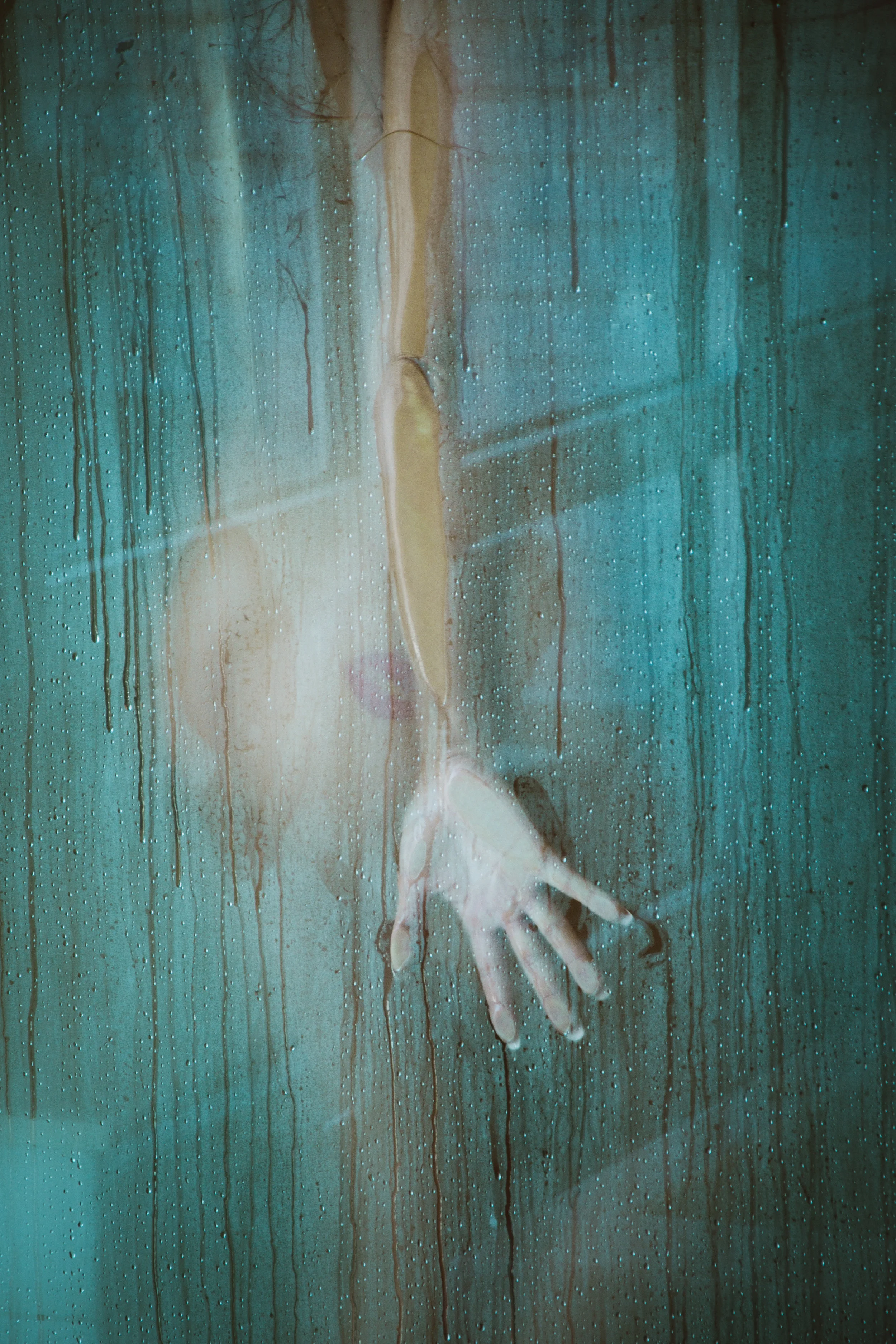 Jennifer Birney Photography-50.jpg