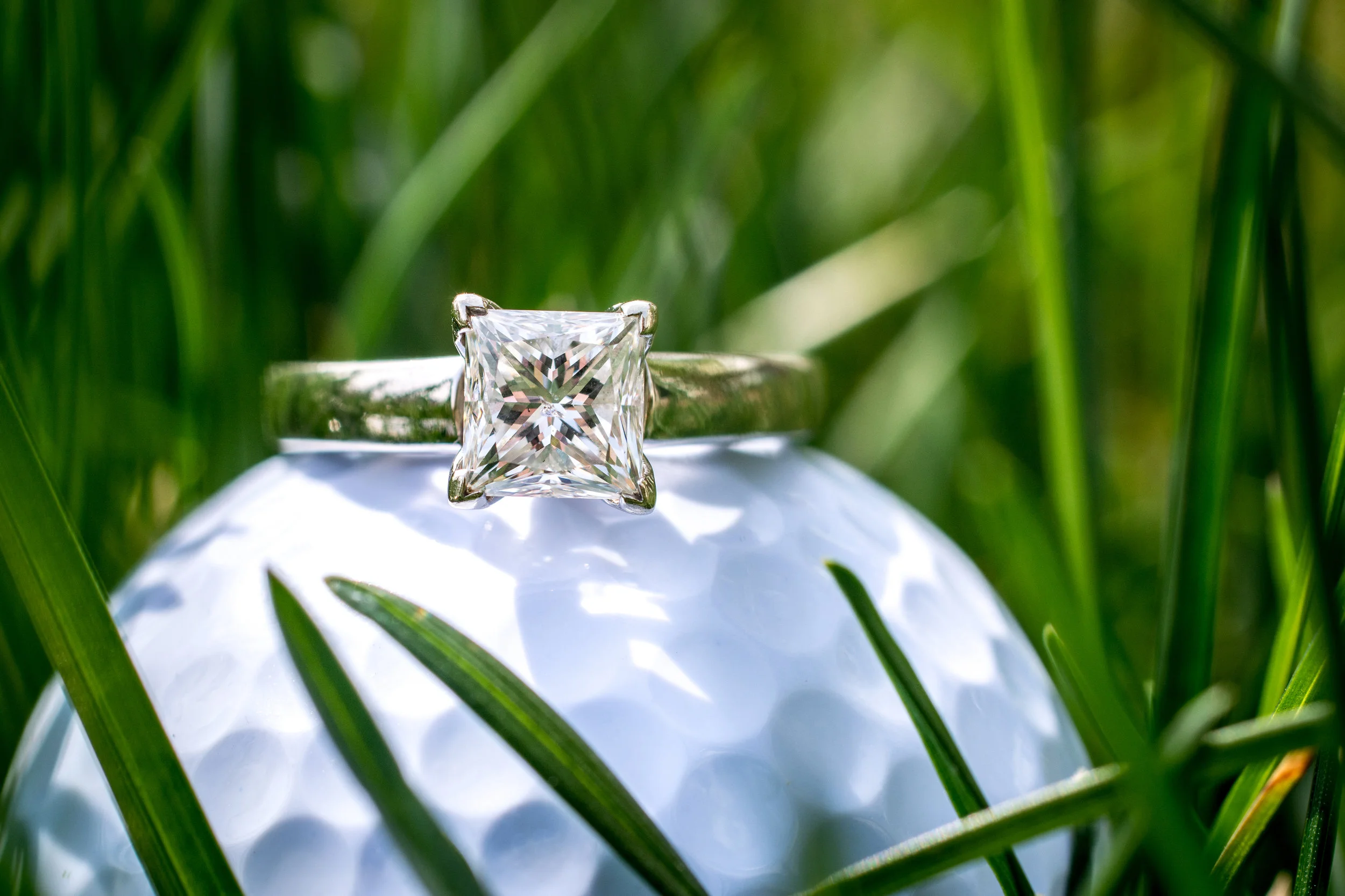 Jennifer Birney Photography-1 5.jpg