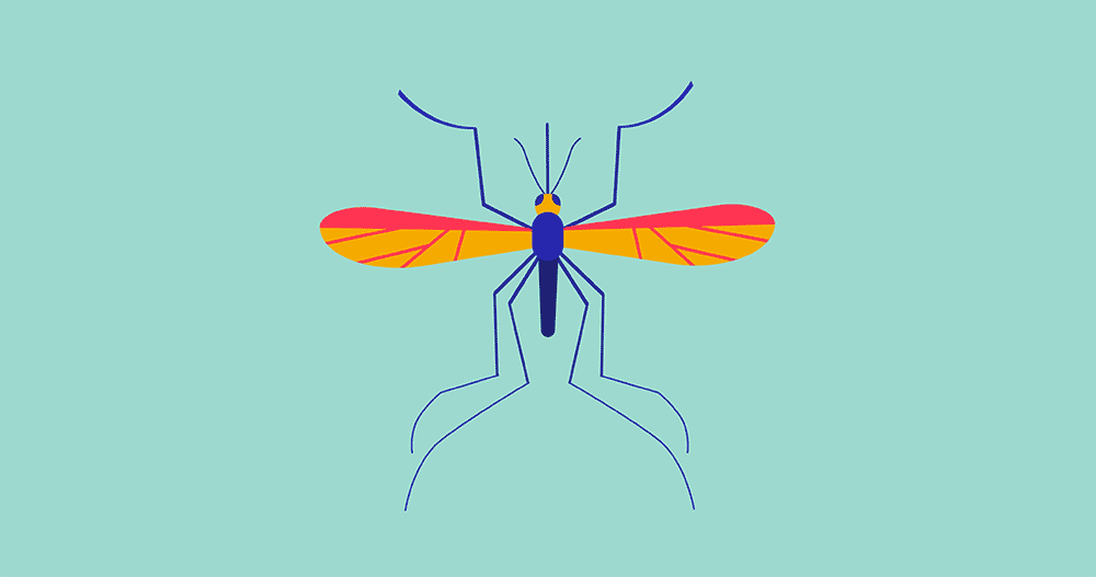 TED DIY Neuroscience Mosquito — Stephanie Swart