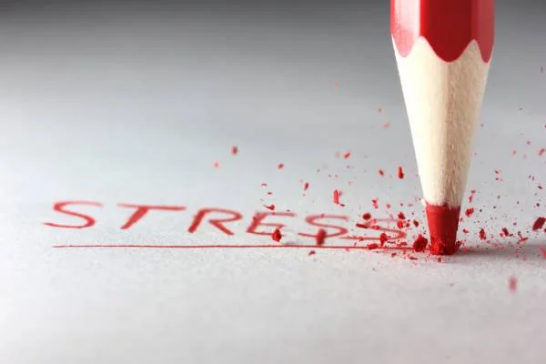 shutterstock94267417.jpg