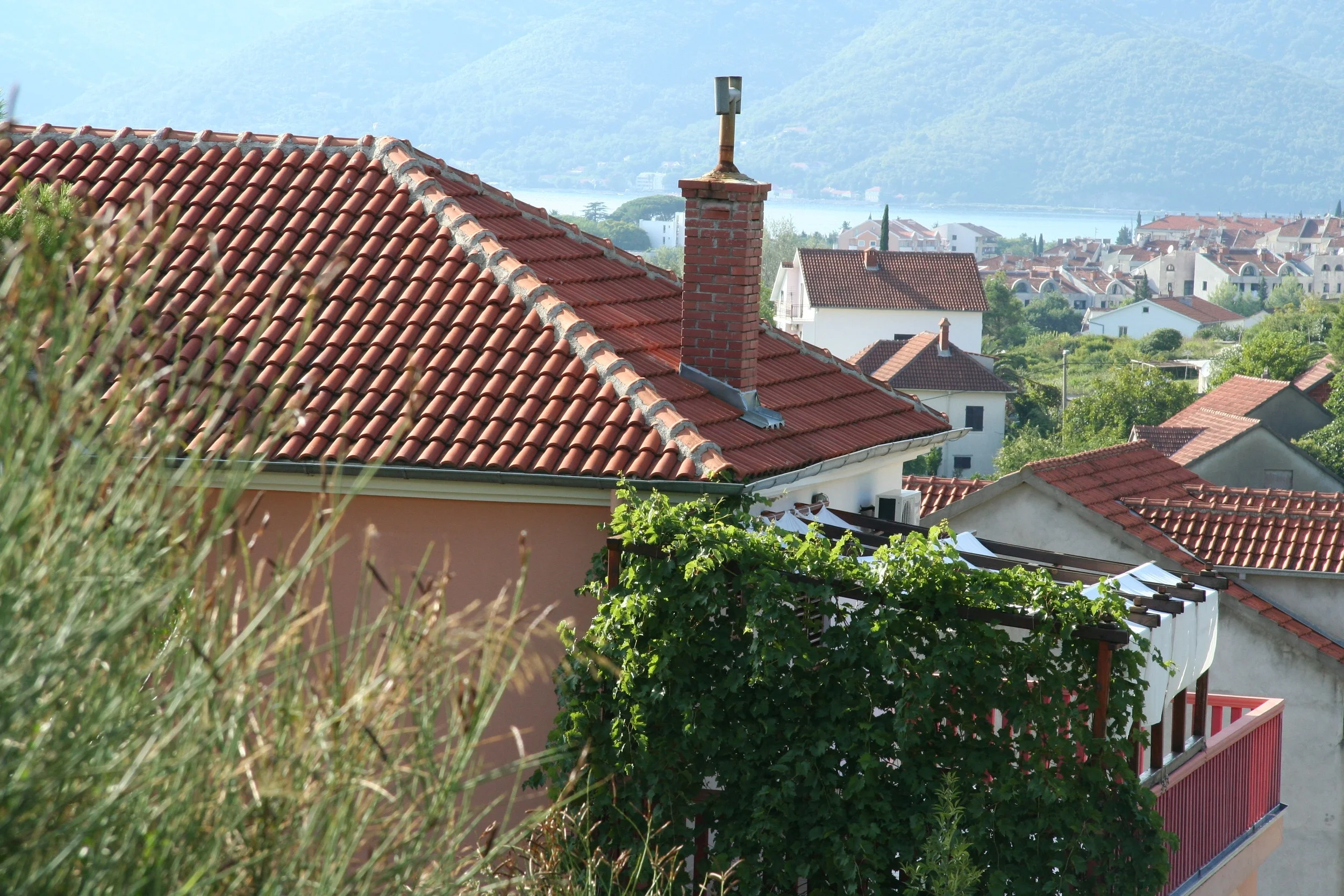 IMG_8149.jpg