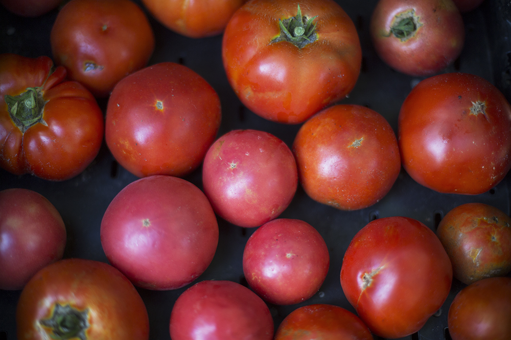 tomatoes_lowRes.jpg