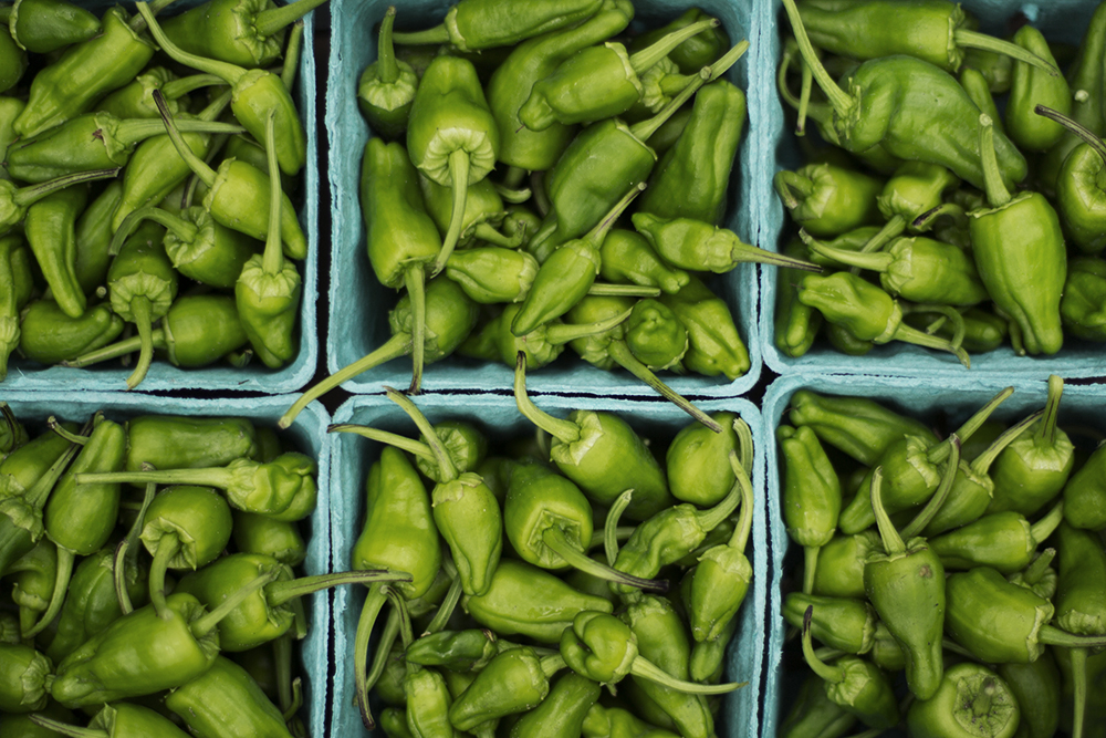  padron peppers 