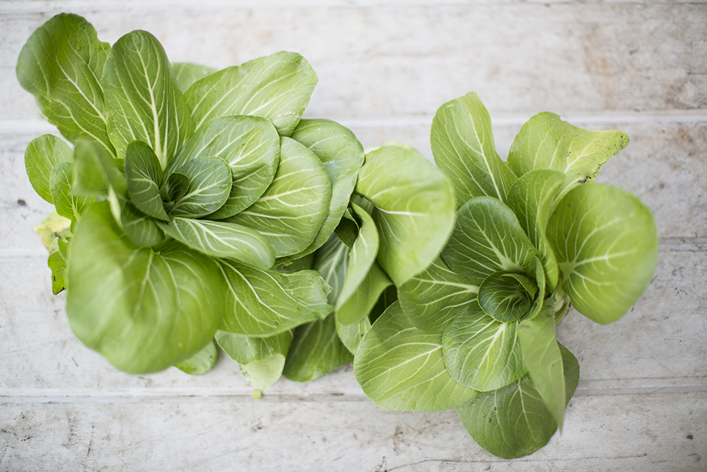  Bok Choi 