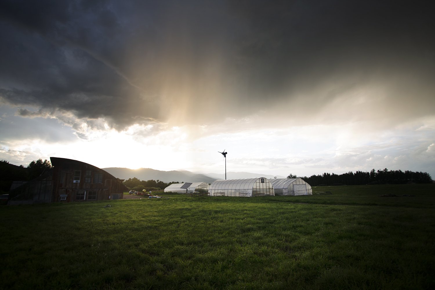 HoopHouse_AfterRain_August_2022_lowres.jpg