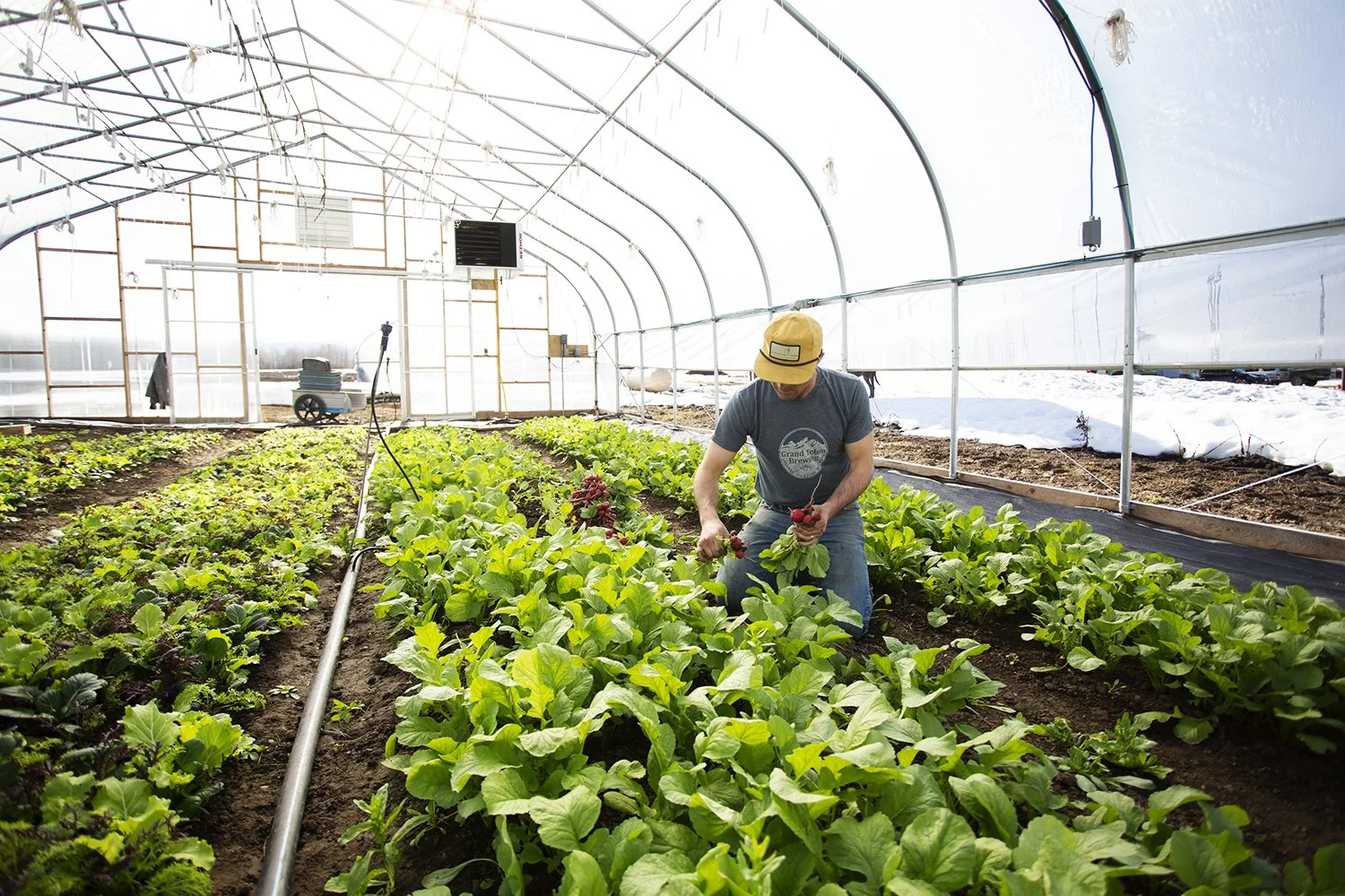 hoophouse_May_2023_lowres.jpg