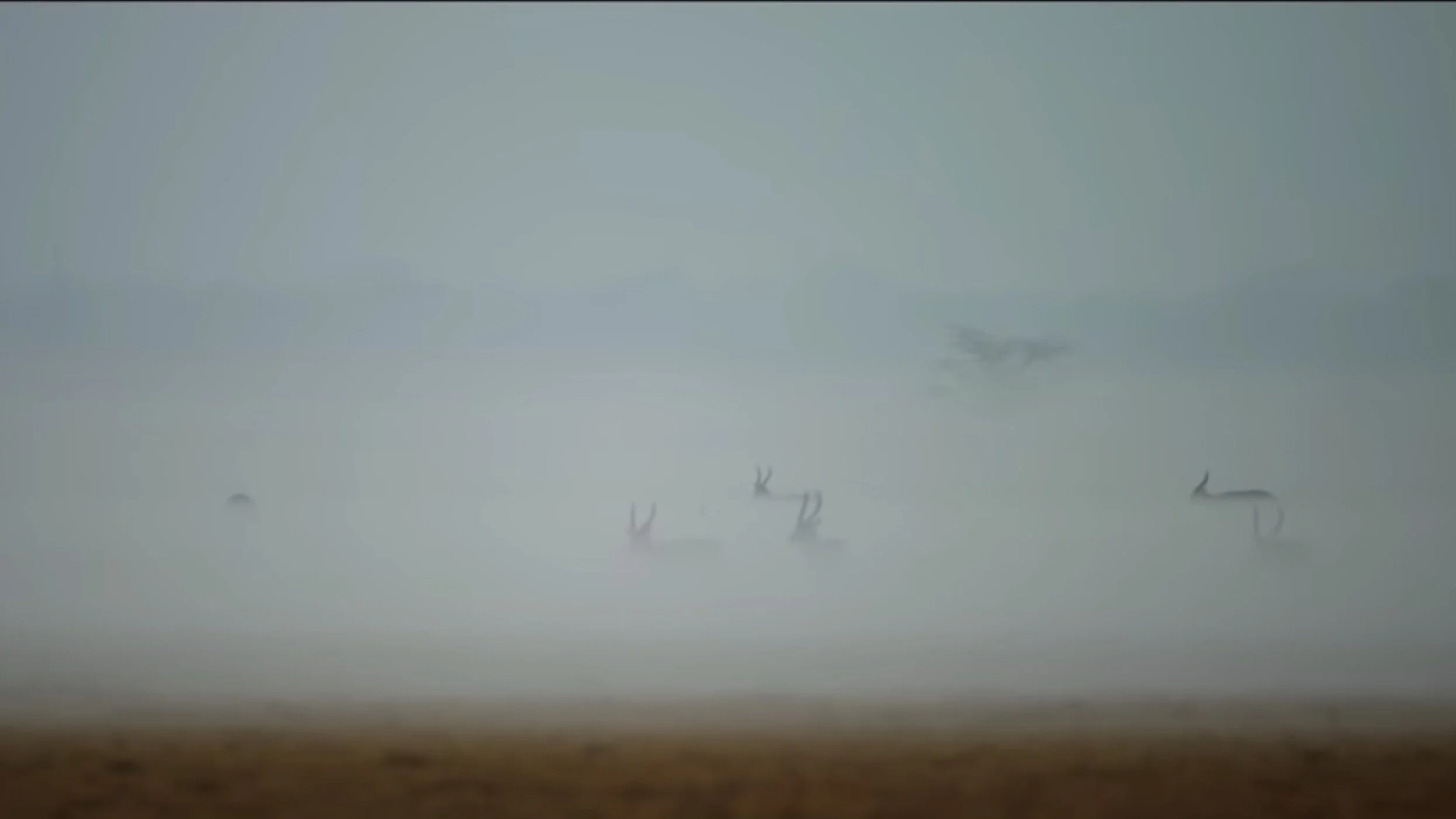 NATIONAL GEOGRAPHIC | MAJETE