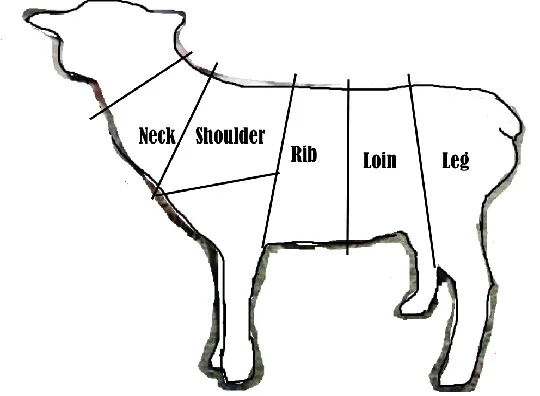 Lamb_cuts-540x396.jpg