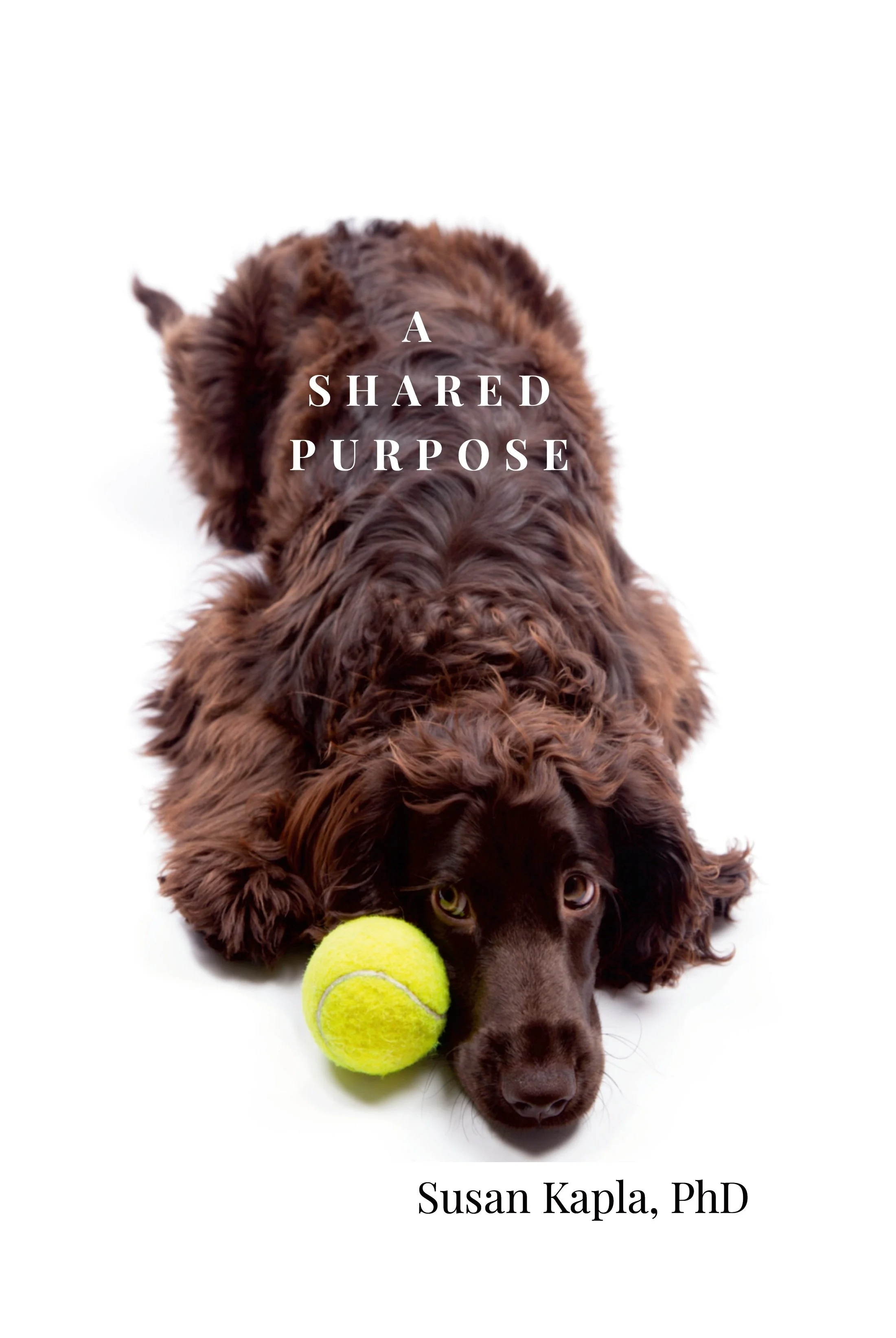 A Shared Purpose