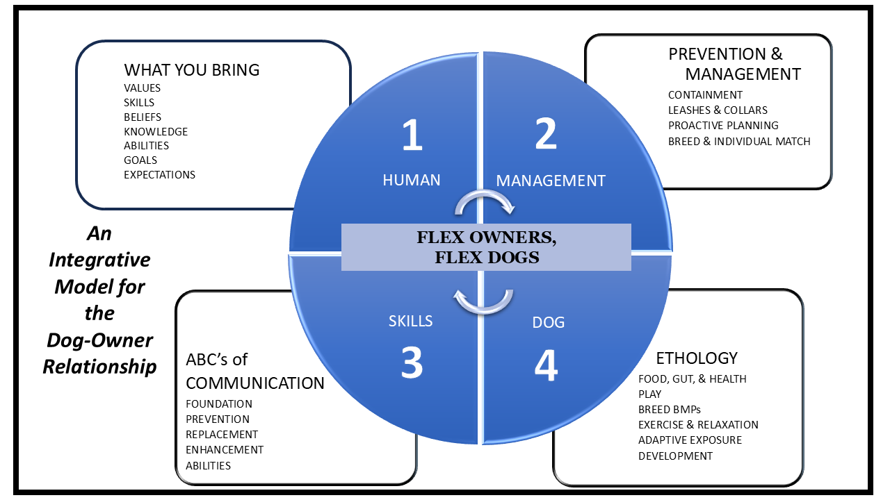 FLEX graphic.png