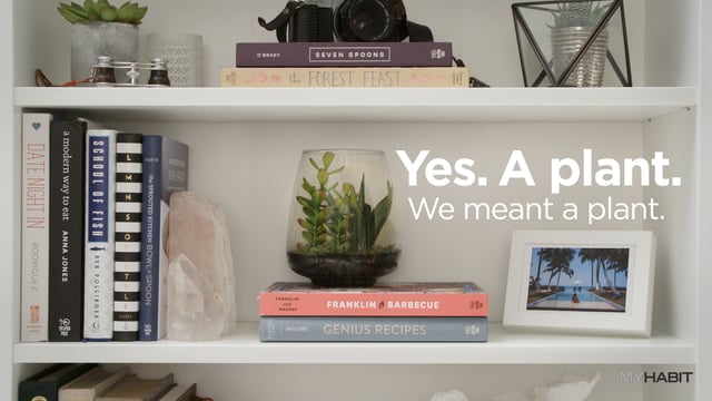 How To Style A Bookshelf; MyHabit How-To Series, August 2015.