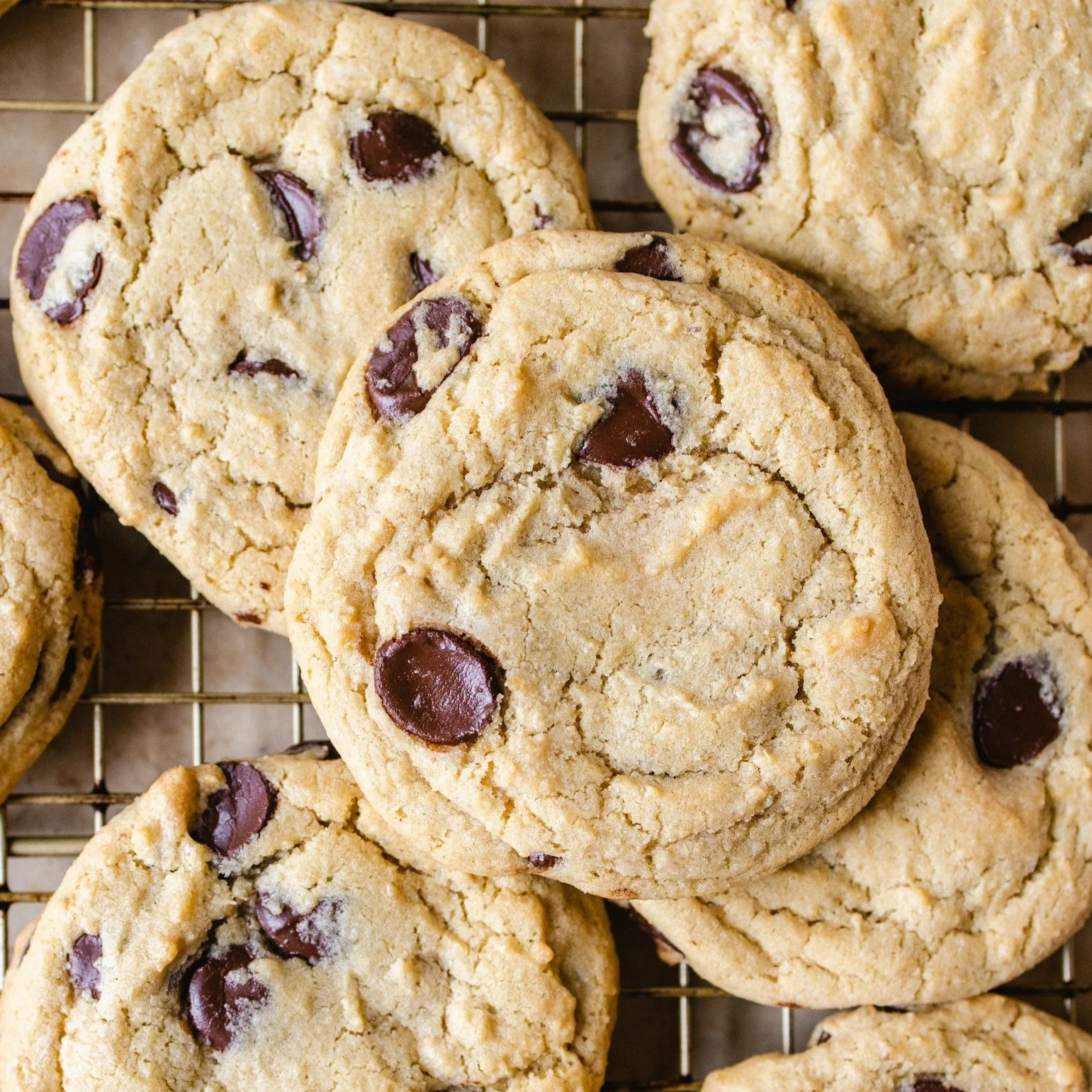 Close-up of several chocolate chip cookies on a wire cooling rack.