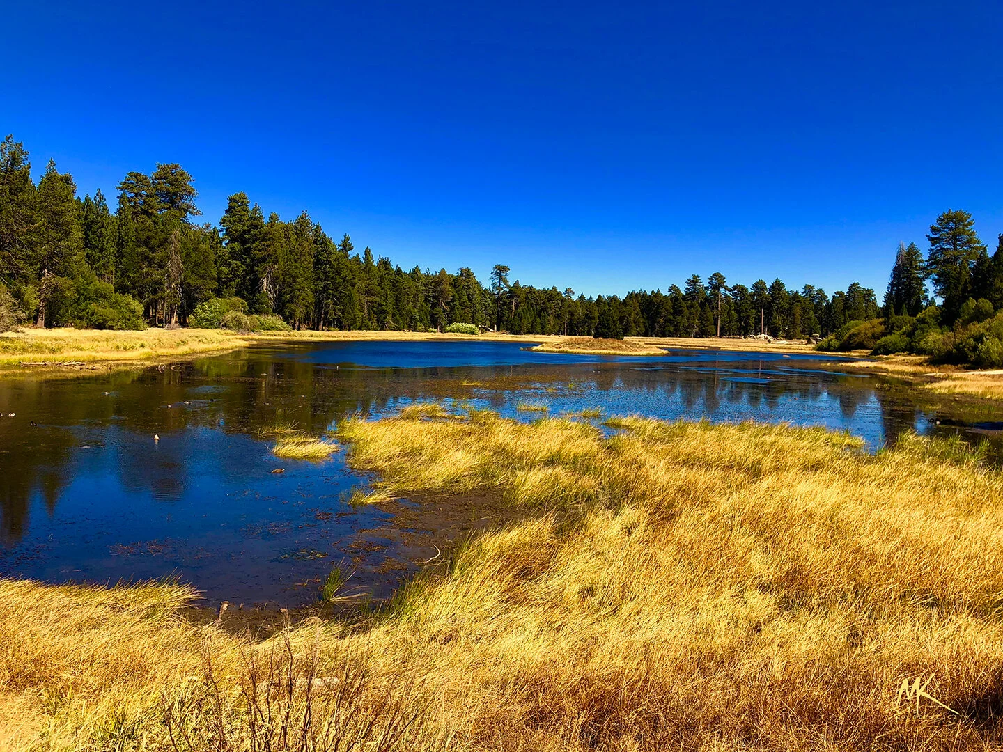 Bluff Lake_r.jpg