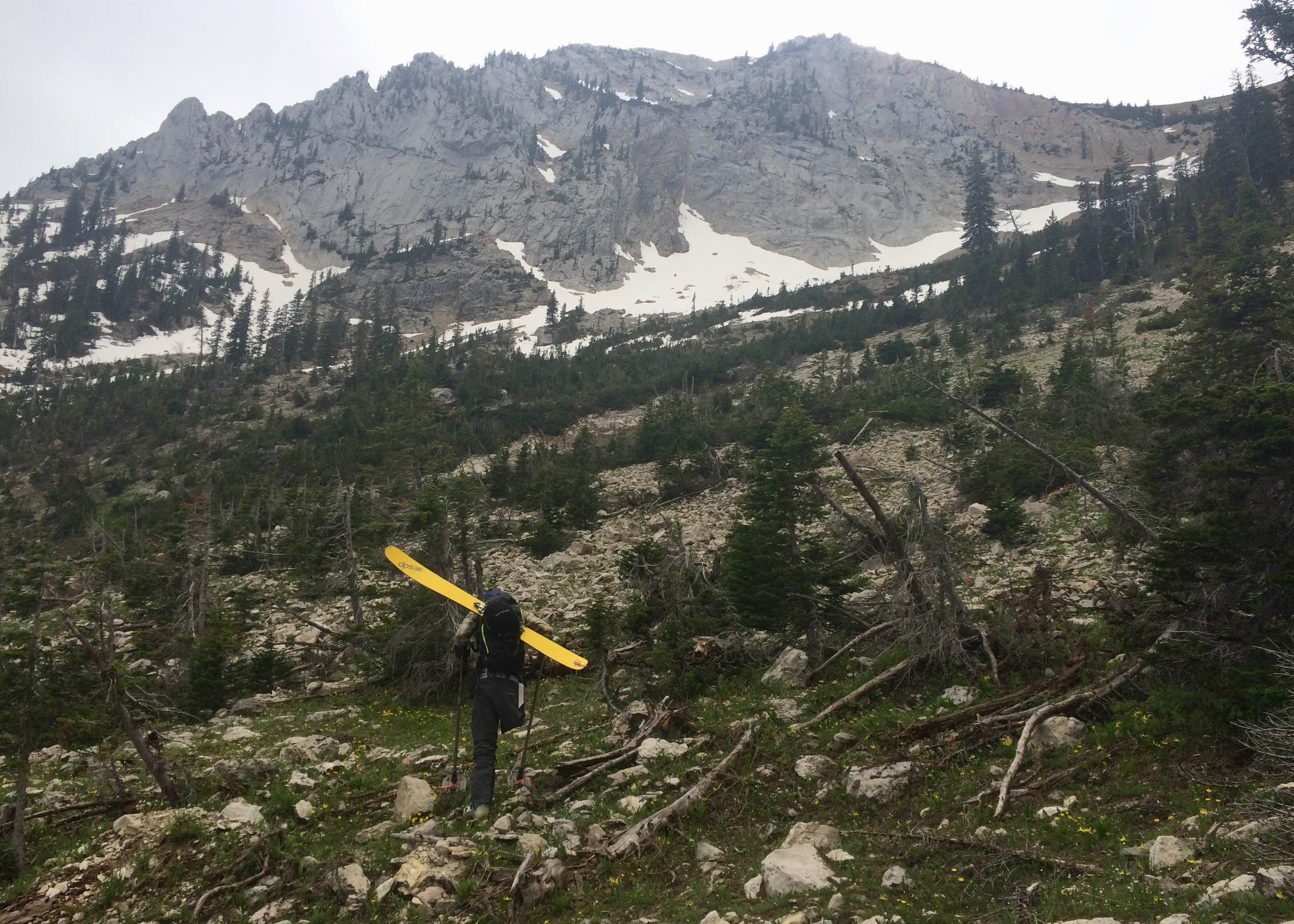 Vasu approaching “The Ruler” via bushwhacking