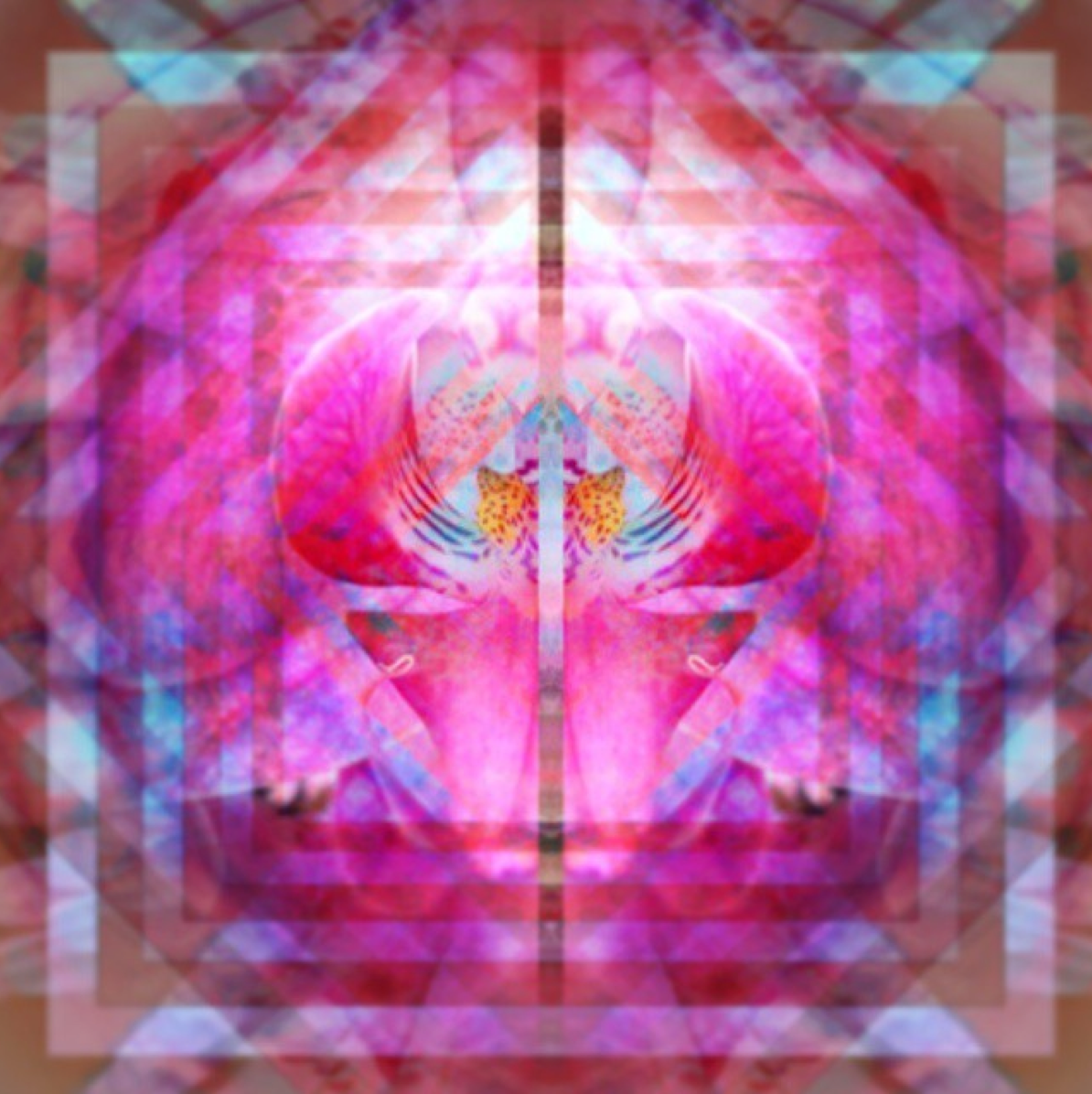 Screen Shot 2016-08-04 at 10.12.16 am.png
