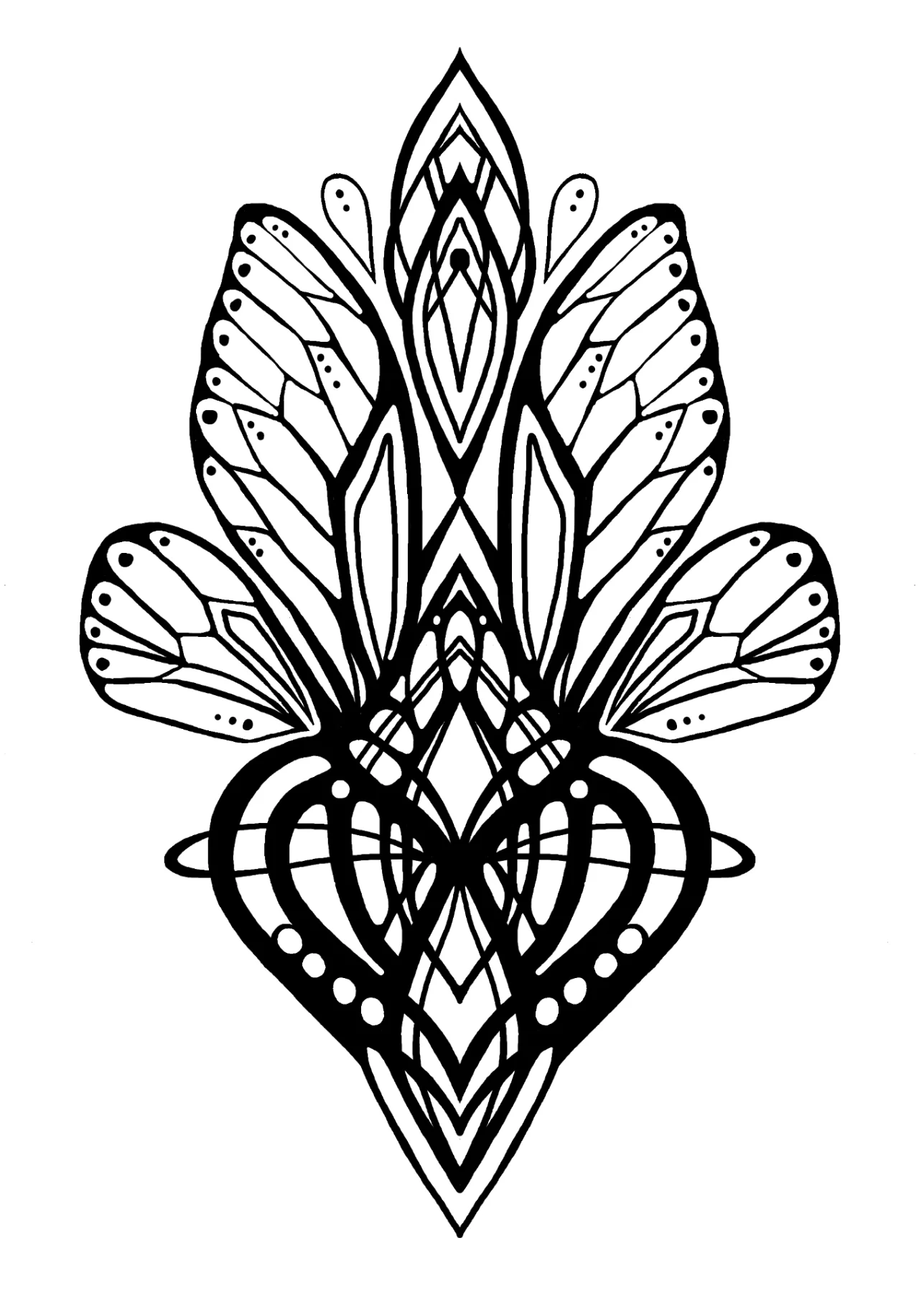card11.jpg