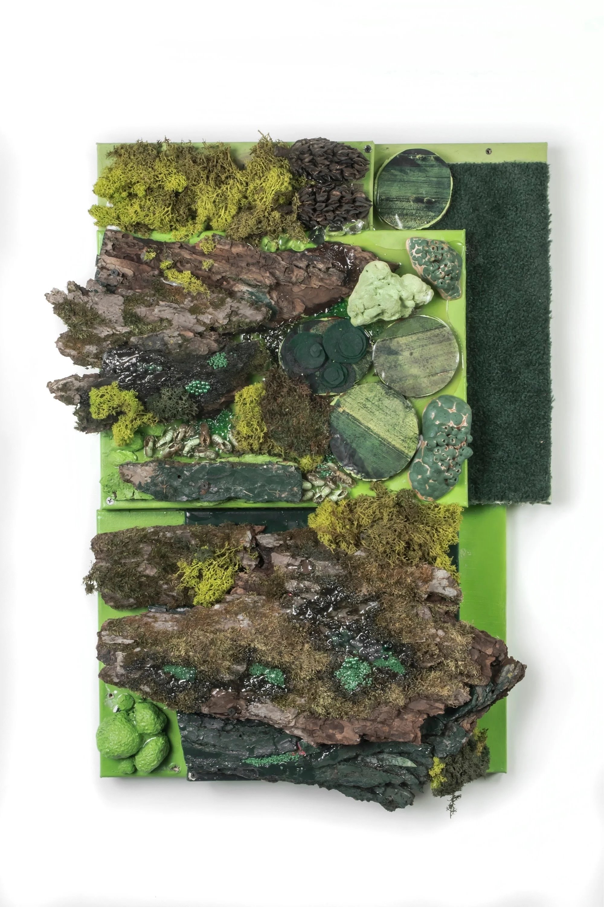 Alien landscape series #2