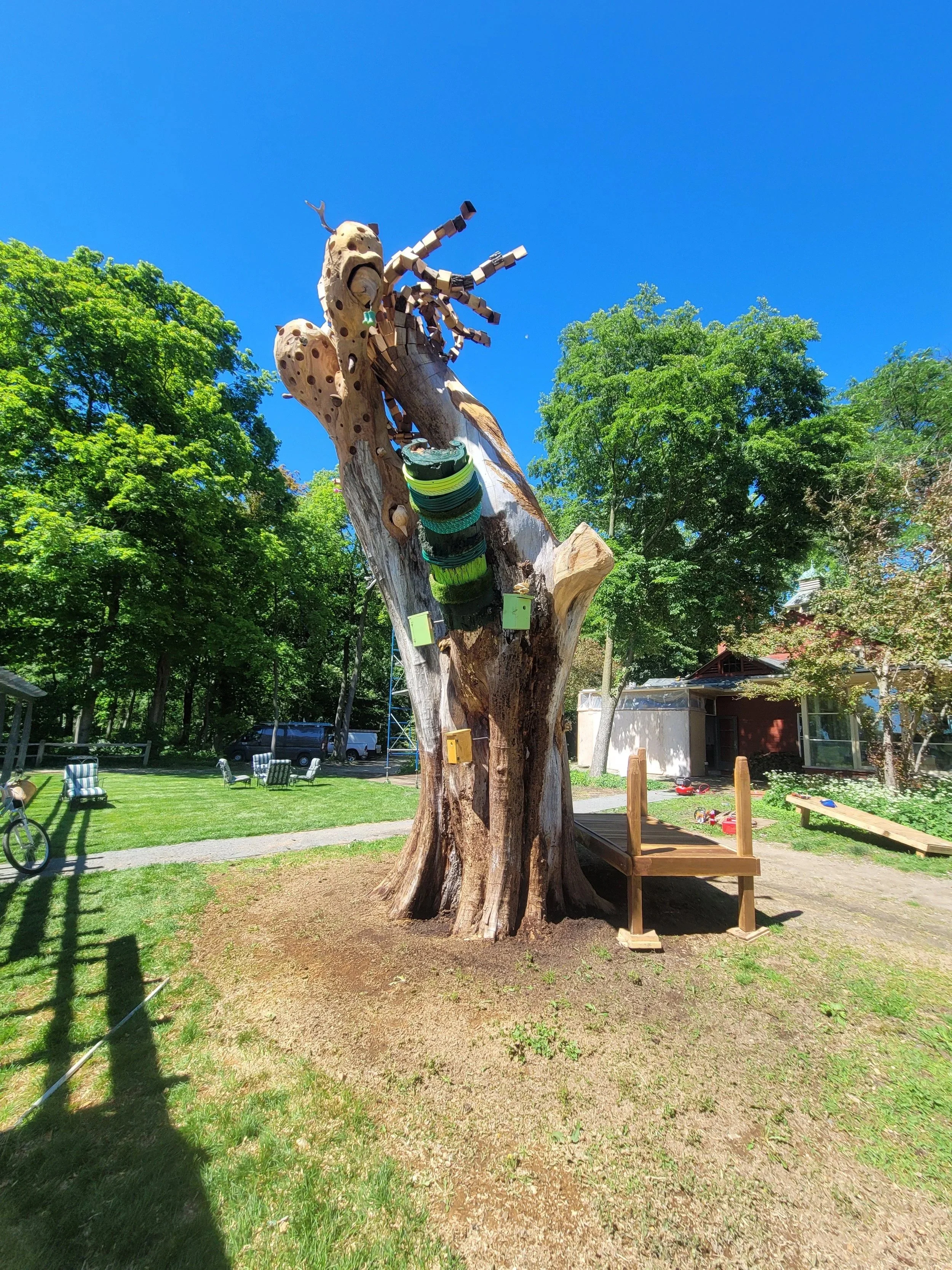 Ragdale tree project