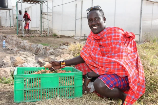 A Maasai warrior shows off sweet potatoes, just one of many vegetables grown at Free The Children’s 200-acre Oleleshwa Farm in Kenya’s South Narok region. The farm was created through FTC's partnership with Saskatchewan-based PotashCorp, which contributes funding, know-how and other support to the initiative. 