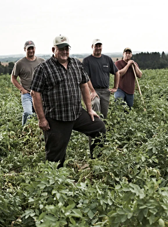 Canada grows 4.6 million tonnes of potatoes per year on about 350,000 acres of land, and McCain's field management team can attest to the importance of this sector.