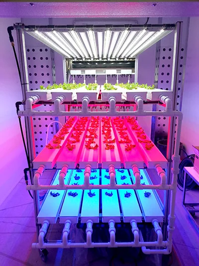 Canada’s Space and Advance Life Support Agriculture program develops systems that can grow food reliably and indefinitely on the moon or on Mars but experts say the technology can also be helpful for bringing food security to Canada’s North. 